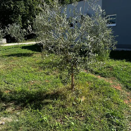 Iva Giulia Daire Međugorje